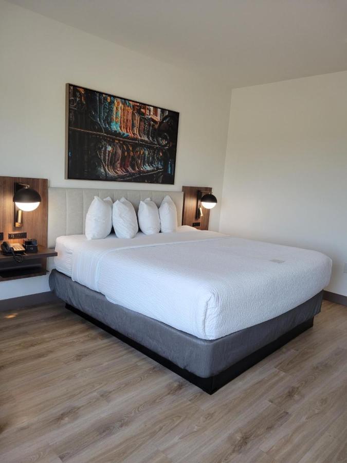 La Quinta Inn & Suites By Wyndham Terrell Esterno foto