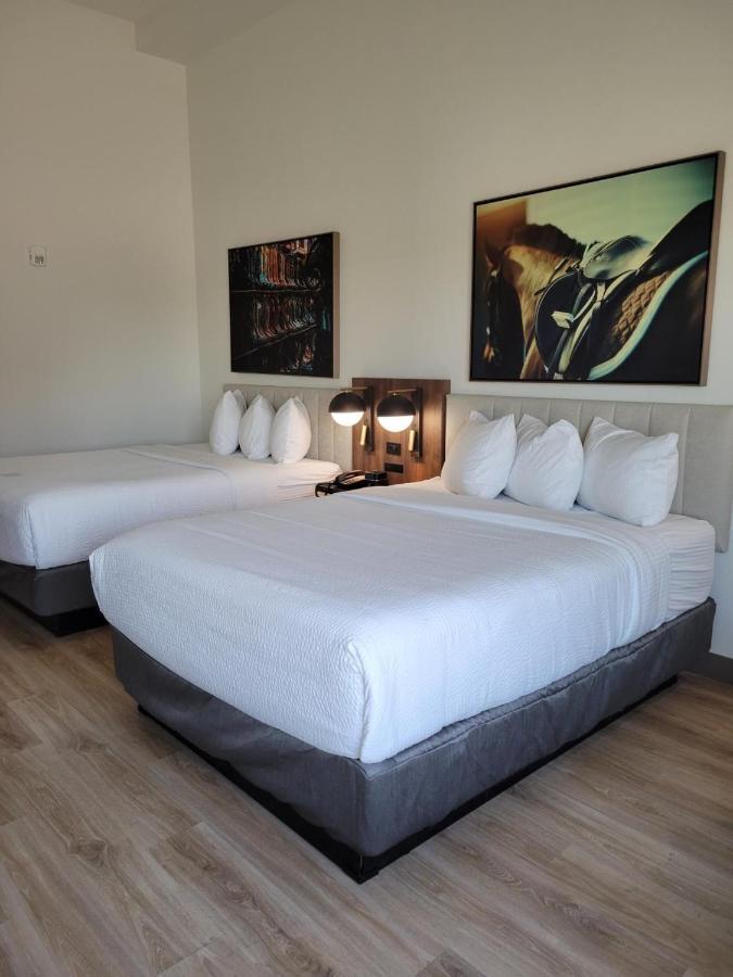 La Quinta Inn & Suites By Wyndham Terrell Esterno foto