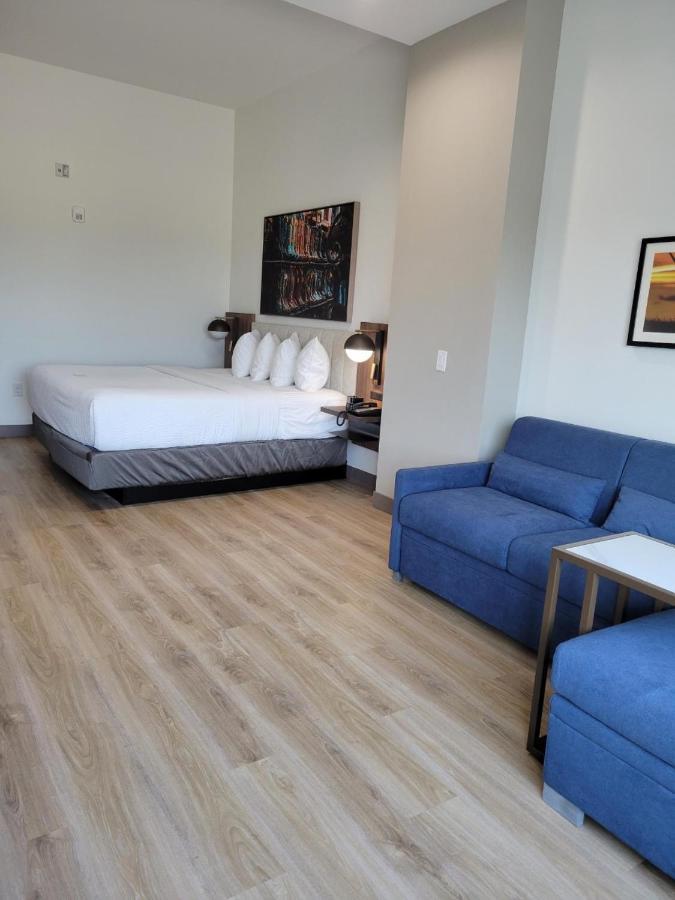 La Quinta Inn & Suites By Wyndham Terrell Esterno foto