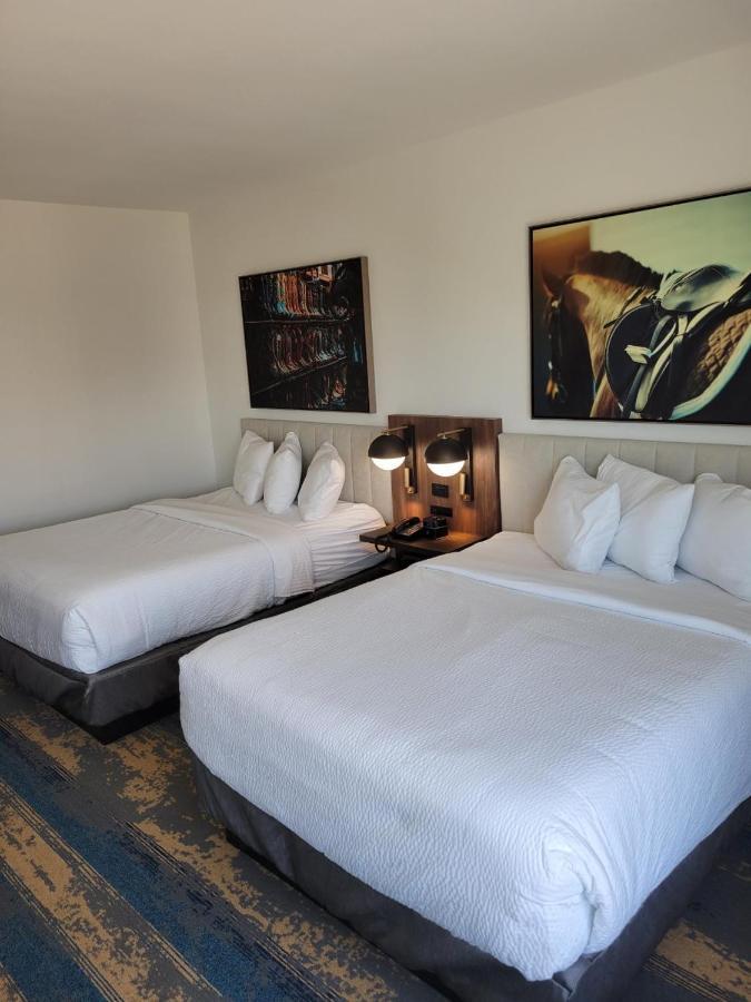 La Quinta Inn & Suites By Wyndham Terrell Esterno foto