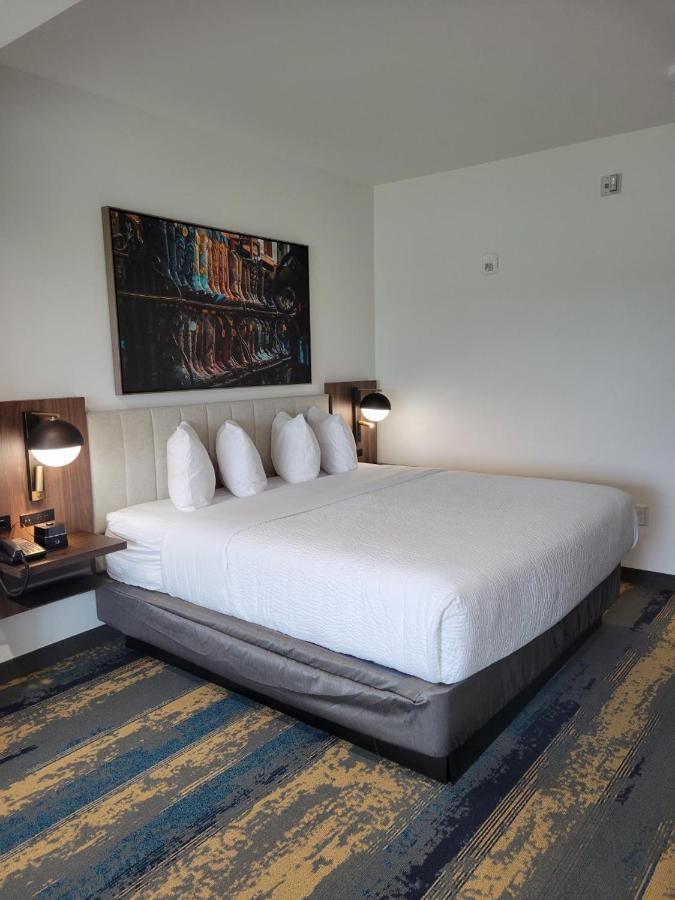 La Quinta Inn & Suites By Wyndham Terrell Esterno foto